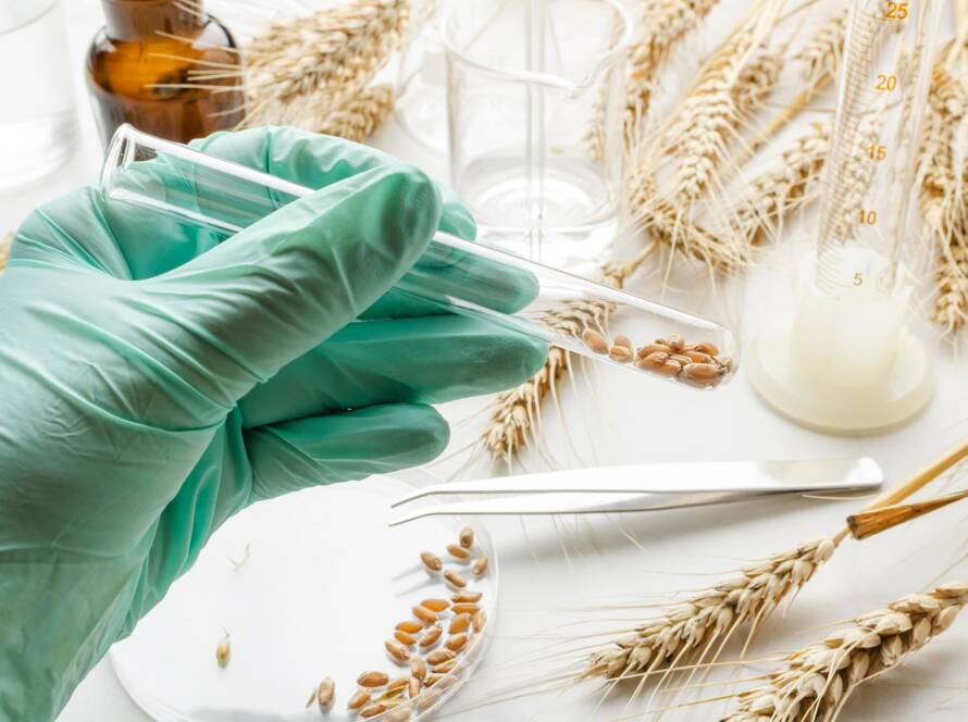 مناقصات و خرید سازمانی